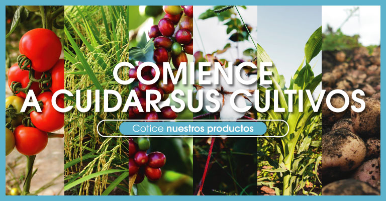 Biocultivos_Home-2