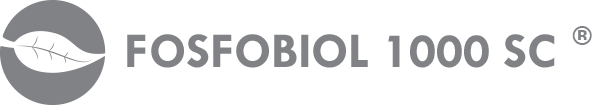 ico1