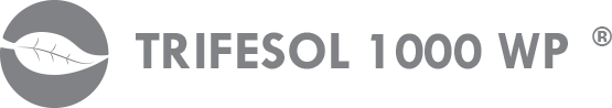 registro1