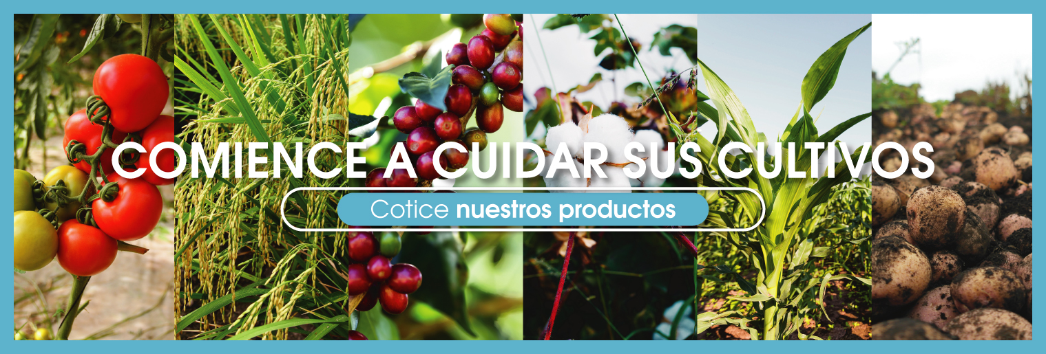 biocultivos, agricultua consciente, bioinsumos y biorracionales para sus cultivos