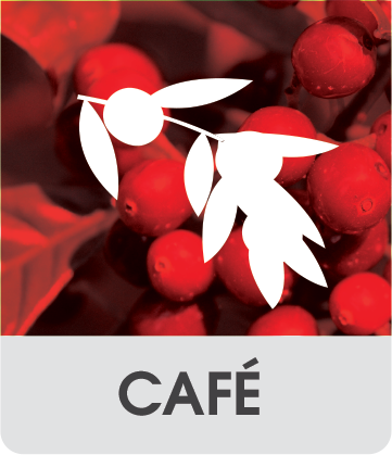 cultivos_banner