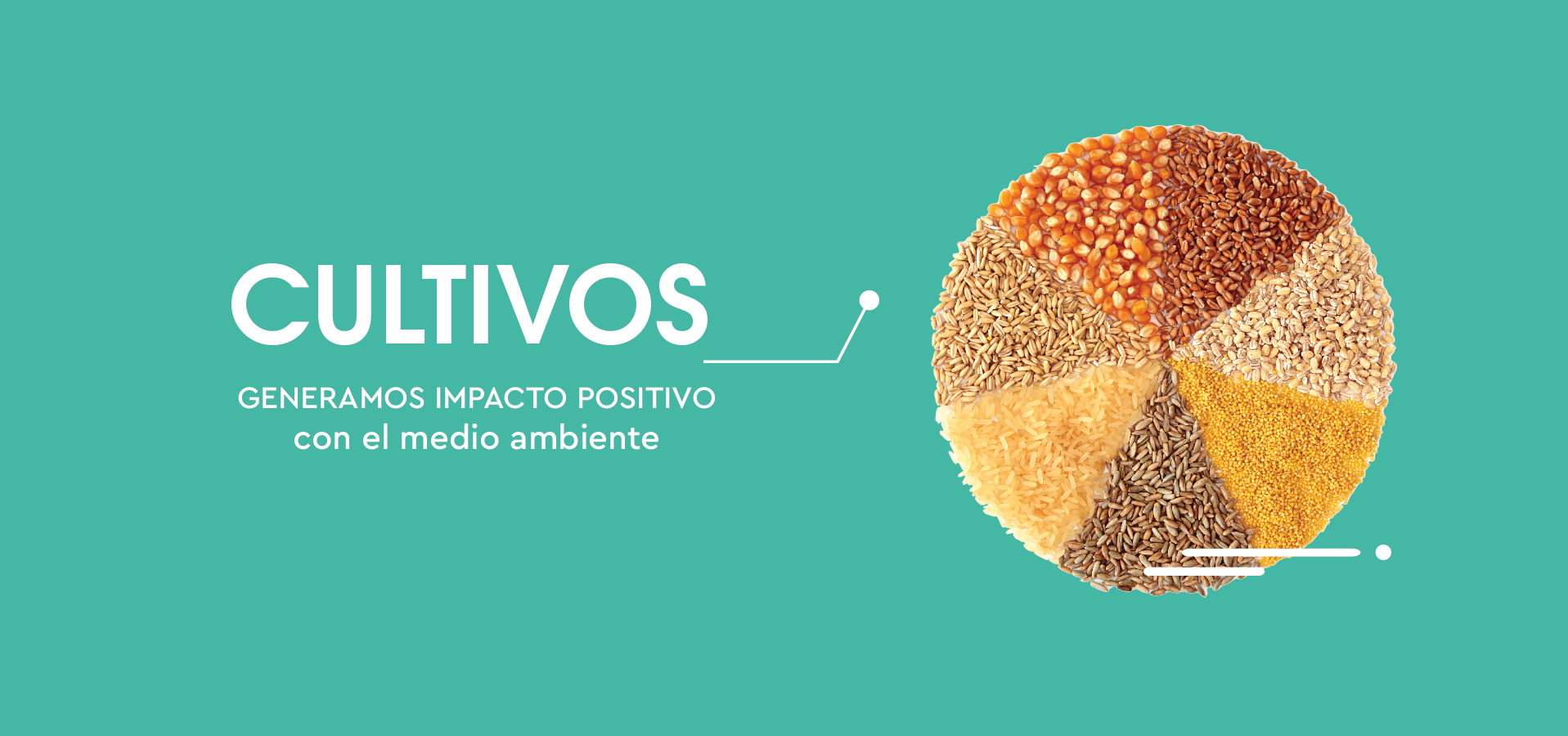 cultivos_banner