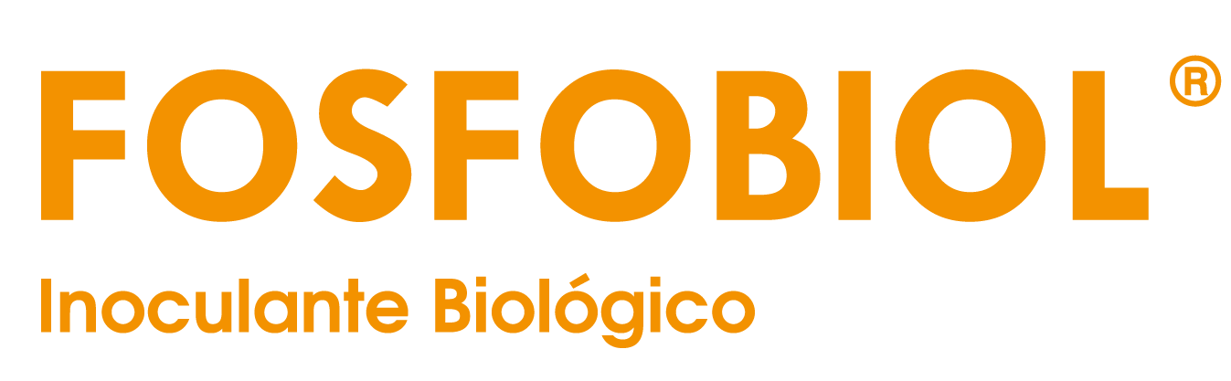 fos_Mesa de trabajo 1-01