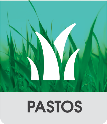cultivos_banner