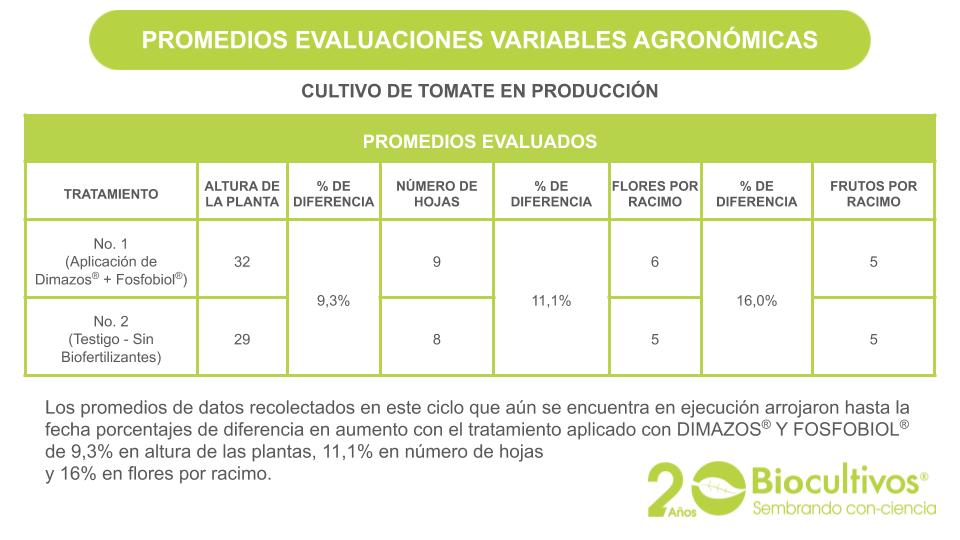 Biocultivos - Tomate - Produccion