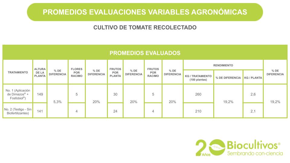Biocultivos - Tomate - Recolectado